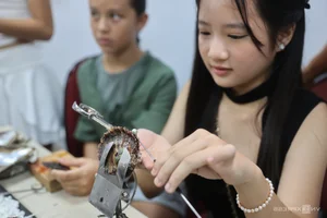 Discover Pearl Harvesting in Ho Chi Minh City: A Unique Vietnamese Travel Experience - image 9