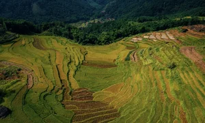 Pu Luong Golden Season: A Guide to the Breathtaking Rice Terrace Harvest in Northern Vietnam - image 9