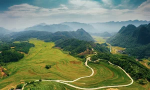Pu Luong Golden Season: A Guide to the Breathtaking Rice Terrace Harvest in Northern Vietnam - image 1