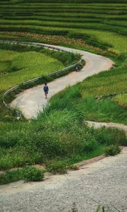 Pu Luong Golden Season: A Guide to the Breathtaking Rice Terrace Harvest in Northern Vietnam - image 6