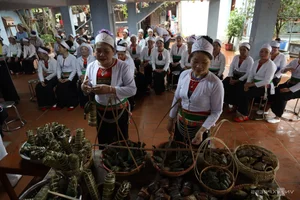 Discovering the Spiritual Heritage of the Muong: Gong Culture and Hau Dong Rituals - image 3