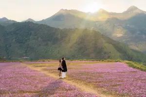 Ta Xua's Cosmos Flower Hill: A Romantic Escape Amidst Majestic Northwest Nature - image 8