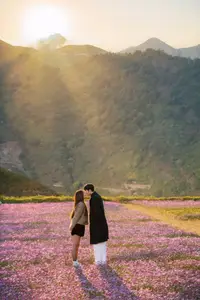 Ta Xua's Cosmos Flower Hill: A Romantic Escape Amidst Majestic Northwest Nature - image 10