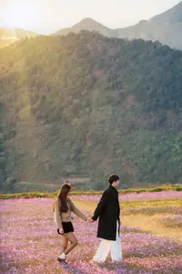 Ta Xua's Cosmos Flower Hill: A Romantic Escape Amidst Majestic Northwest Nature - image 9