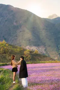 Ta Xua's Cosmos Flower Hill: A Romantic Escape Amidst Majestic Northwest Nature - image 1
