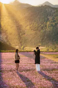 Ta Xua's Cosmos Flower Hill: A Romantic Escape Amidst Majestic Northwest Nature - image 0