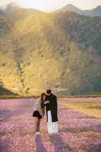 Ta Xua's Cosmos Flower Hill: A Romantic Escape Amidst Majestic Northwest Nature - image 4