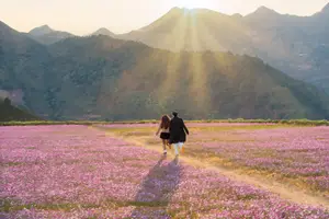 Ta Xua's Cosmos Flower Hill: A Romantic Escape Amidst Majestic Northwest Nature - image 6