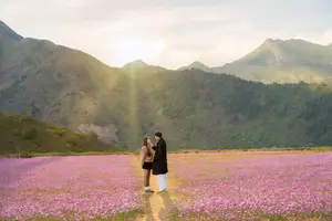 Ta Xua's Cosmos Flower Hill: A Romantic Escape Amidst Majestic Northwest Nature - image 3