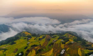 Chasing the Clouds: A Visual Journey Through Vietnam's Most Breathtaking Mountain Landscapes and Scenic Viewpoints - image 6