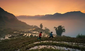 Chasing the Clouds: A Visual Journey Through Vietnam's Most Breathtaking Mountain Landscapes and Scenic Viewpoints - image 1