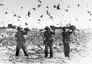 Commemorating History: Artistic Tributes Marking 50 Years of the Truong Sa Liberation Anniversary - image 2