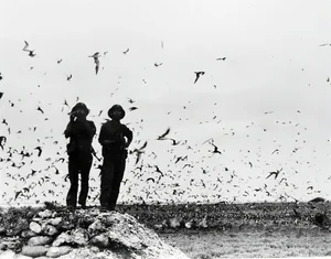 Commemorating History: Artistic Tributes Marking 50 Years of the Truong Sa Liberation Anniversary - image 4