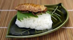 Exploring the World's Most Shocking Cockroach-Based Culinary Dishes - image 6