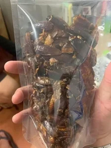 Exploring the World's Most Shocking Cockroach-Based Culinary Dishes - image 7