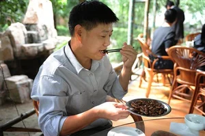 Exploring the World's Most Shocking Cockroach-Based Culinary Dishes - image 5
