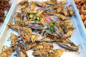 Exploring the World's Most Shocking Cockroach-Based Culinary Dishes - image 3