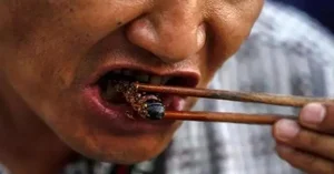 Exploring the World's Most Shocking Cockroach-Based Culinary Dishes - image 11