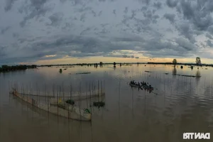 Flavors of the Mekong Delta: Exploring Traditional Cuisine During the Floating Season - image 5