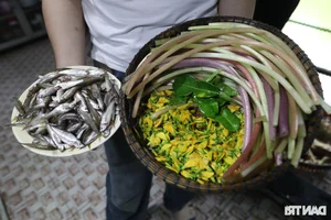 Flavors of the Mekong Delta: Exploring Traditional Cuisine During the Floating Season - image 2