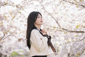 Sakura Girl Aesthetic: YITUYU Art Language with An Qi Bu Chi Xiang Gu - image 13