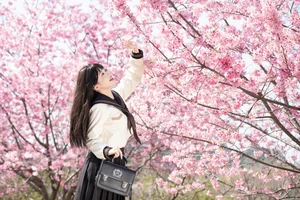 Sakura Girl Aesthetic: YITUYU Art Language with An Qi Bu Chi Xiang Gu - image 0