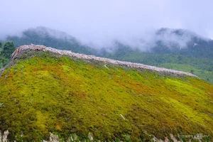 Discovering the Ancient Moss-Roofed Houses of Northeast Vietnam’s High Peaks - image 3