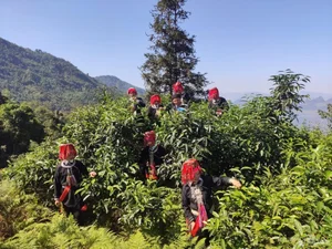 Discovering the Ancient Moss-Roofed Houses of Northeast Vietnam’s High Peaks - image 6