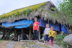 Discovering the Ancient Moss-Roofed Houses of Northeast Vietnam’s High Peaks - image 10