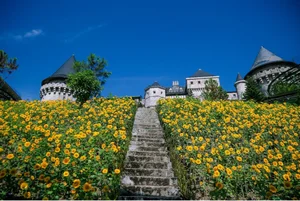 Ba Na Hills Attracts Thousands of Visitors from Central and Highlands Regions - image 8