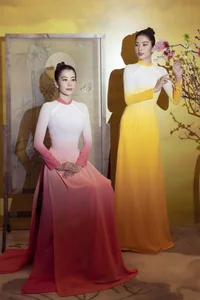 Nam Anh’s Pageant Journey: The Stunning Transformation of Nam Em’s Twin Sister - image 5