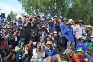 Bay Nui Cow Racing: An Giang's Thrilling Cultural Festival - image 9
