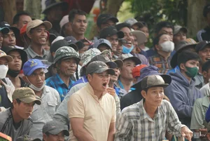 Bay Nui Cow Racing: An Giang's Thrilling Cultural Festival - image 5