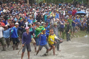 Bay Nui Cow Racing: An Giang's Thrilling Cultural Festival - image 0