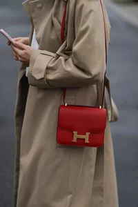Timeless Handbag Colors That Match Every Outfit and Never Go Out of Style - image 26