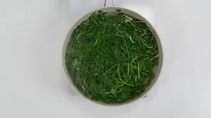 From Roadside Weeds to Superfoods: The Antibacterial Benefits and Delicious Ways to Cook Hardy Wild Greens - image 1