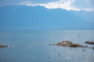 Ethereal Grace of Wan Jiang Ting in YiTuYu Art Language Vol.8851 by the Lake - image 20