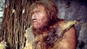 Uncovering the Surprising Migration Secrets of Neanderthals and Human Evolution - image 3