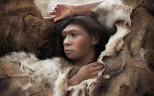 Uncovering the Surprising Migration Secrets of Neanderthals and Human Evolution - image 6