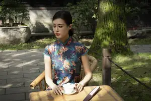 Elegant Chenaling_CL in Cheongsam: Vol.8523 - Timeless Traditional Beauty & Grace - image 18