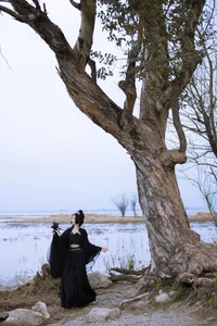Elegant Artistic Portraiture of Wan Wan: YiTuYu Art Language Vol.8843 Collection featuring 36 Stunning High-Definition Lifestyle and Fashion Images. - image 1
