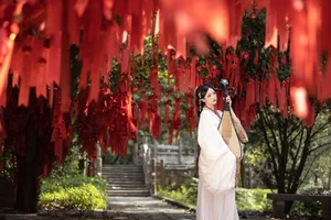 Artistic Expressions of Wan Jiang Ting in Art Language Vol.6339 - image 5