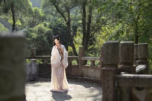 Artistic Expressions of Wan Jiang Ting in Art Language Vol.6339 - image 0