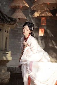 Artistic Expressions of Wan Jiang Ting in Art Language Vol.6339 - image 4