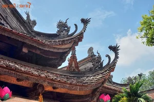 Priceless Treasures: Discovering Buddhist Art from the Tay Son Dynasty - image 5
