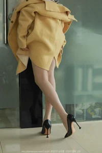IESS No.1665 Xiao Jiu Professional Elegance Gallery - image 45