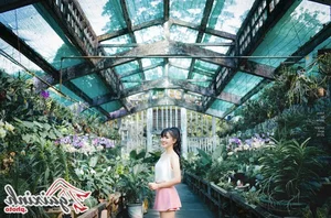 The Radiant Charm of Hue Chau: Exploring the Captivating Style of a Social Media Sensation - image 11