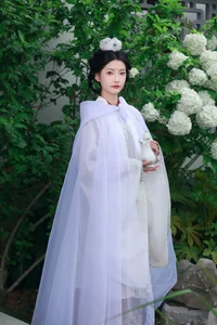 Ethereal Whispers: Nan Gua Zhou Amidst the Blooming Hydrangeas | YiTuYu Art Language Vol. 9092 - image 0