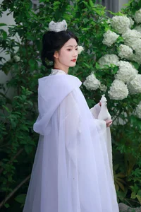 Ethereal Whispers: Nan Gua Zhou Amidst the Blooming Hydrangeas | YiTuYu Art Language Vol. 9092 - image 10