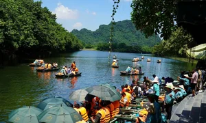 Trang An Welcomes 800 Indian Tourists: A New Milestone for Vietnam Tourism - image 3